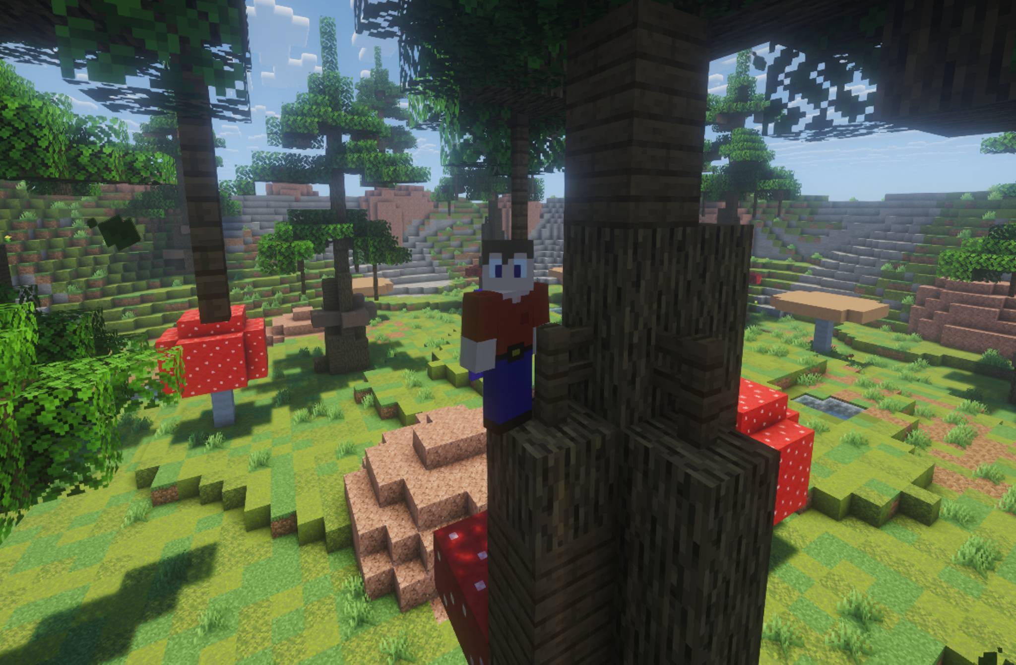 Mickydoesmc