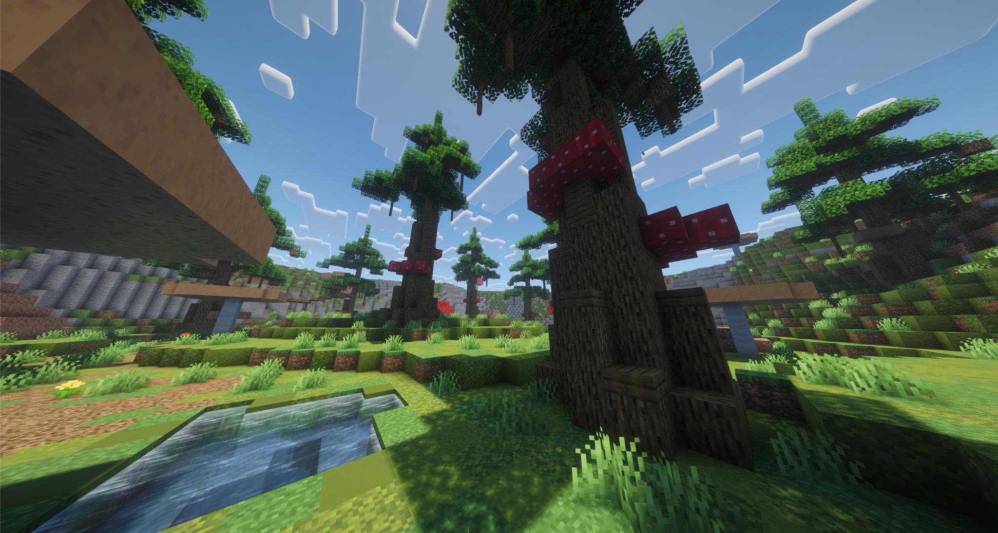 Woodland Clash