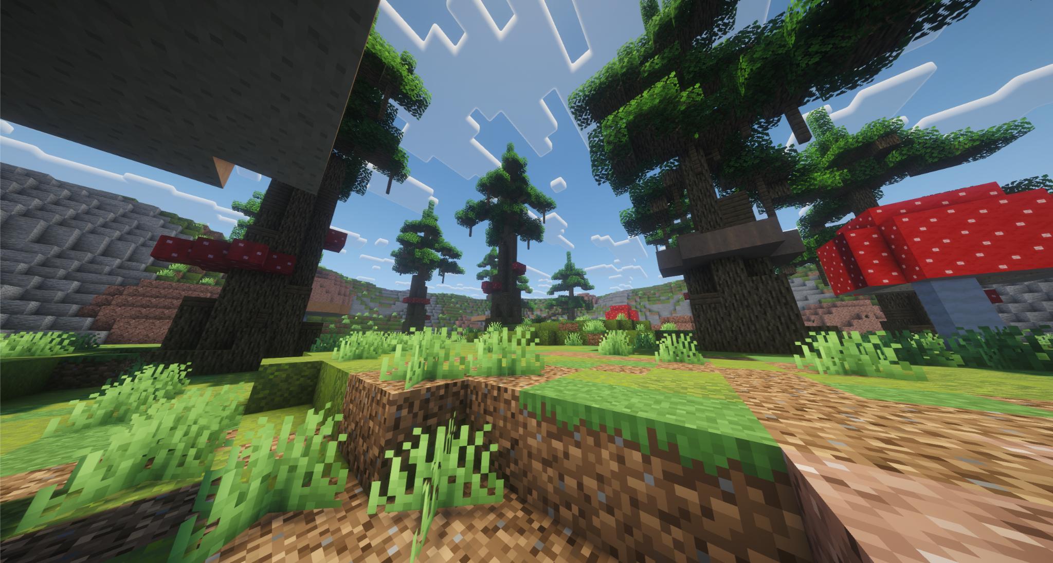 Woodland Clash